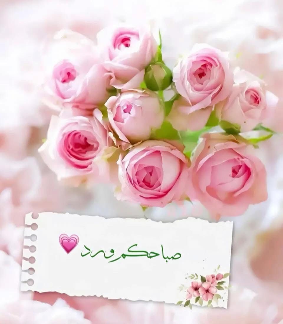 Mayar_memo
