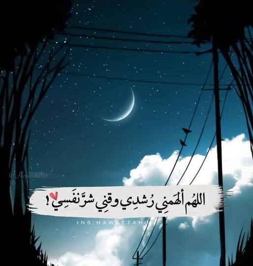 إدخال بيانات و كتابة محتوى